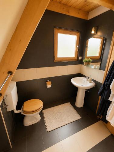 a bathroom with a toilet and a sink at Holiday Home Stefani Spacious Mountain House near Durmitor 3 Bedrooms Private Parking in Žabljak