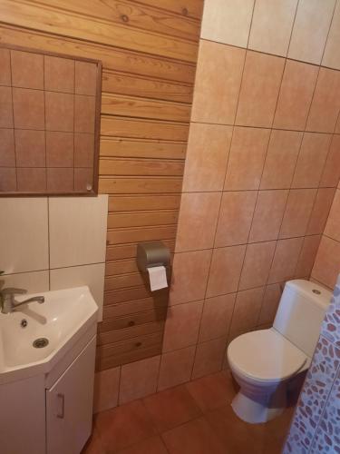 a bathroom with a toilet and a sink at Kļūda 2 in Biksinīki