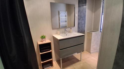 a bathroom with a sink and a mirror at Chez Nova in Chaudenay