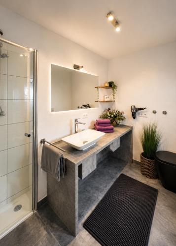 a bathroom with a sink and a shower at Lifestyle in Kurort Steinbach-Hallenberg