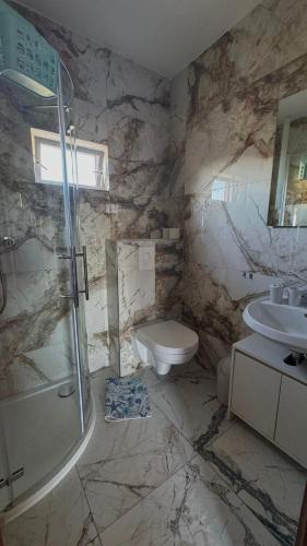 a bathroom with a shower and a toilet and a sink at Villa LIR in Vir
