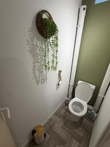 a bathroom with a toilet and a plant on the wall at Appartement Kazalya in Sainte-Rose
