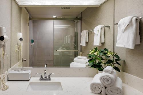 a bathroom with a sink and a mirror at Cartier Place Suite Hotel in Ottawa