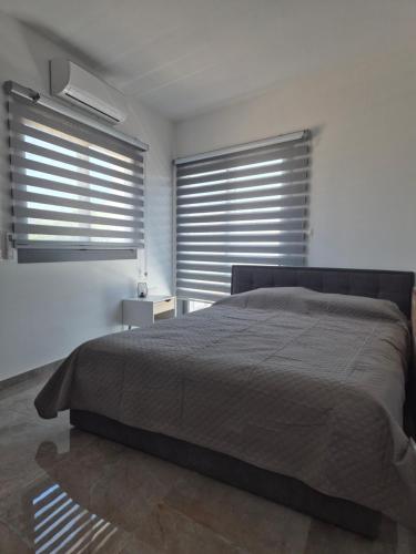 a bedroom with a large bed and two windows at AK Appartment in Kato Pyrgos