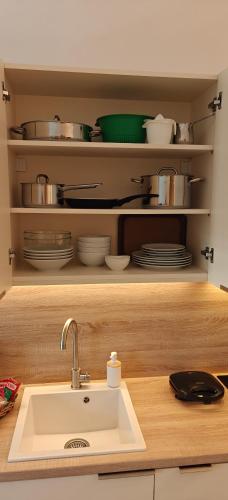 a kitchen with a sink and a shelf with dishes at VALEXX luxury studio in Perea