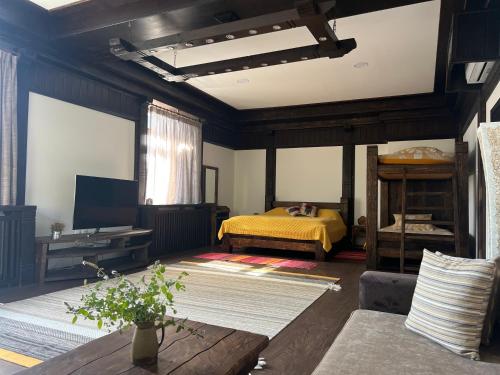 a living room with a bed and a television at Villa Fundemia in Gorna Breznitsa