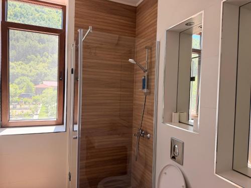a bathroom with a shower with a toilet and a window at Villa Fundemia in Gorna Breznitsa