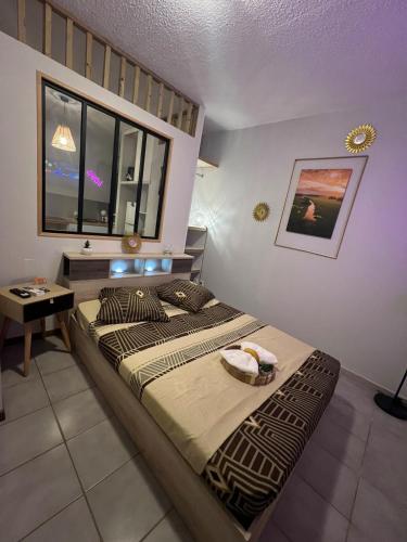 a bedroom with a large bed and a window at Appartement bord de mer in Montjoly