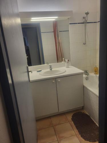 a bathroom with a sink and a mirror and a tub at Résidence les Antillannes in Gourbeyre