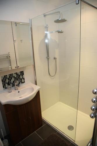 a bathroom with a sink and a shower at Victorin House - All rooms are EN-SUITE in Portsmouth