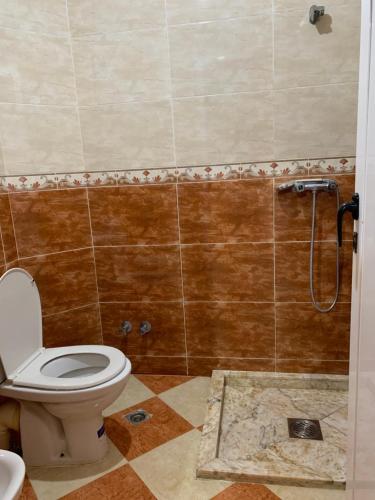 a bathroom with a toilet and a shower at Rayan in Tangier