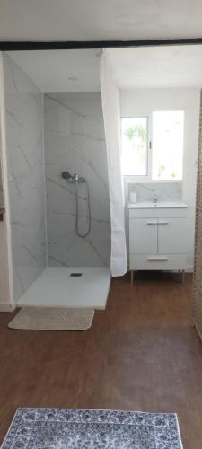 a bathroom with a shower and a sink at L'évidence in Alcantarilha