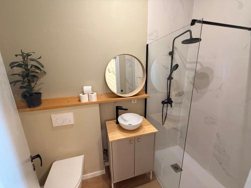 a bathroom with a shower and a toilet and a mirror at Studio Praia & Sol De Verão in Vila do Conde