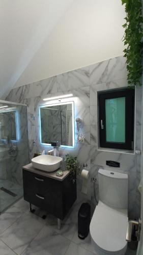 a bathroom with a toilet and a tv on the wall at Chalet Terra Transfăgărășan in Cerbureni