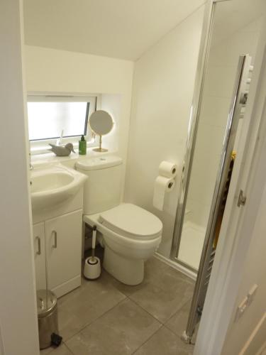a white bathroom with a toilet and a sink at Eastern Lodge 11B in Lymington