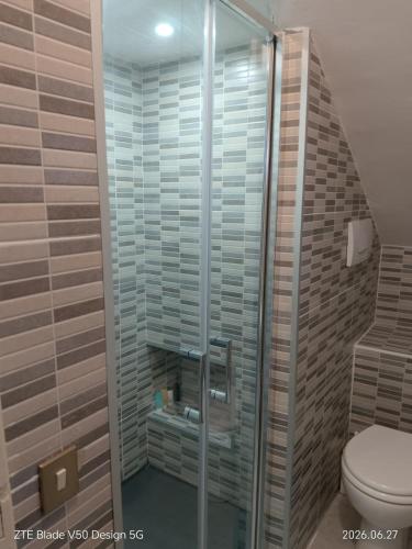 a bathroom with a glass shower with a toilet at FLOWER-House in Anzio