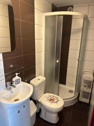 a bathroom with a toilet and a sink and a shower at Błękitna Fala in Ustka