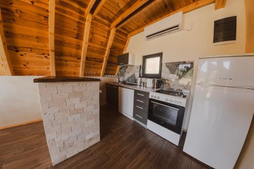 a kitchen with a refrigerator and a stove at Sunrise House in Plužine