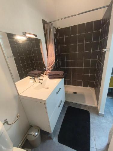 a bathroom with a sink and a mirror and a tub at Cozy studio - proche Cité de Carcassonne in Couffoulens