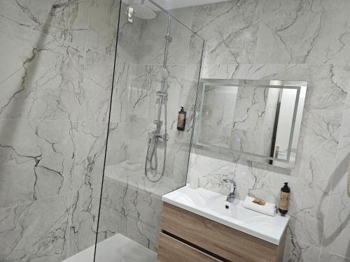 a bathroom with a shower and a sink and a mirror at Hôtel 1er Consul Rouen in Rouen