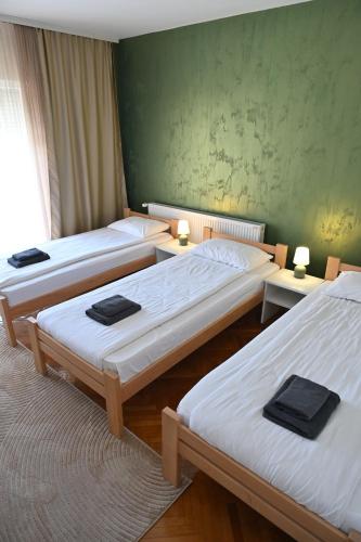 a room with three beds and a green wall at Modex ROOMS in Paraćin