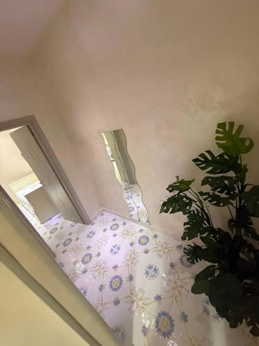 Casa pignasecca