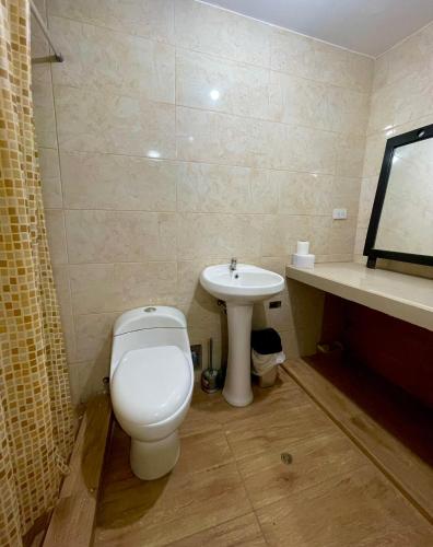 a bathroom with a toilet and a sink at La casa de Ferro in Piura