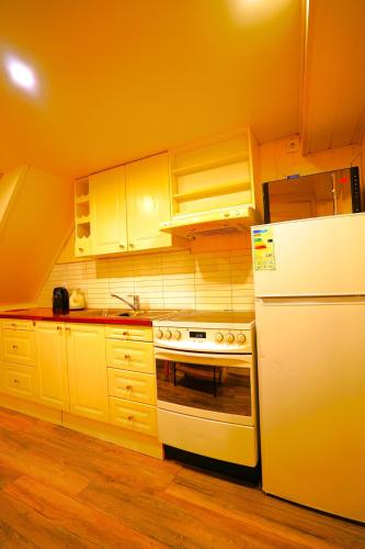 a kitchen with a white refrigerator and a stove at Comfort Apartment in Tromsø