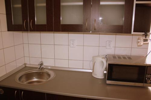 a kitchen counter with a sink and a microwave at Penzion a CaféRestaurant U lávky in Chrudim