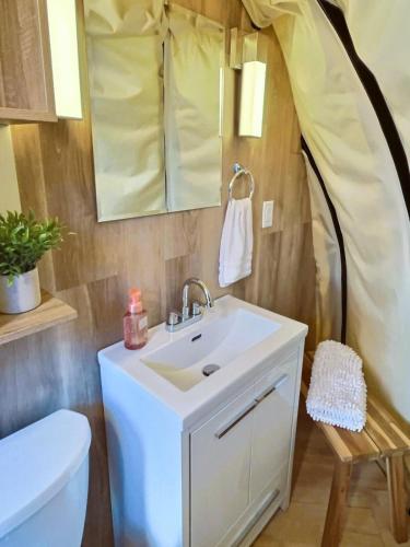 a bathroom with a sink and a toilet and a mirror at Fenlea Resort Glamping Cocoon in Hampton