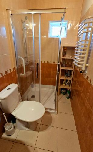 a bathroom with a toilet and a shower at Cicha Chata in Wójtowa