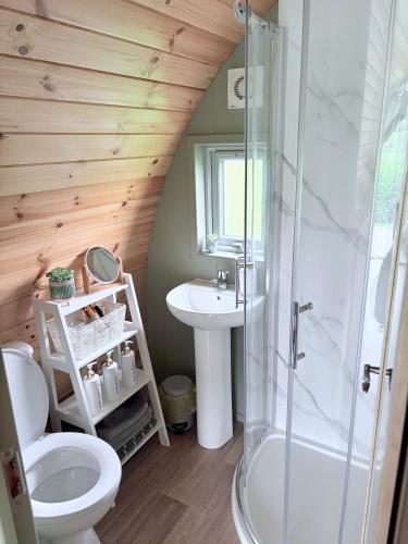 a bathroom with a toilet and a sink and a shower at Knockmany View Glamping in Augher