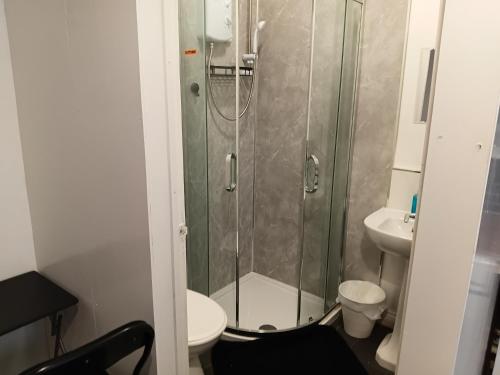 a bathroom with a shower and a toilet and a sink at Studio Sleeps 2 with Parking in Oldbury