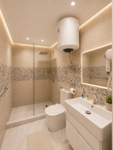 a bathroom with a toilet and a shower and a sink at Garden El Tahrir Downtown Hotel in Cairo