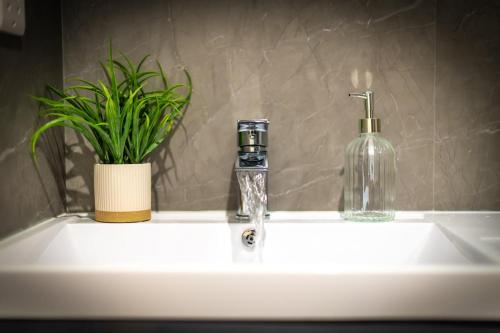 a bathroom sink with a soap dispenser and a plant at 1 bed flat in Wolverhampton city centre in Wolverhampton