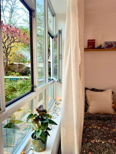 Cosy and charming appartement
