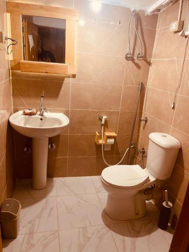 a bathroom with a toilet and a sink at Genena Eco-lodge in Nuweiba