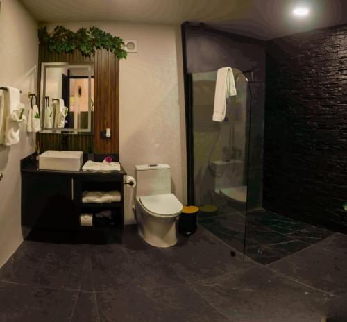 a bathroom with a toilet and a shower at River Suite at Luna Negra Suites & Spa in El Castillo de La Fortuna