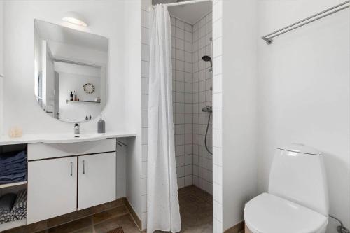a bathroom with a toilet and a sink and a mirror at 8578-Glesborg-Agterspejlet-13 in Bønnerup Strand