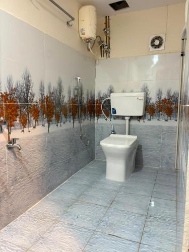 a bathroom with a toilet and a shower stall at HOTELc3 in Visakhapatnam