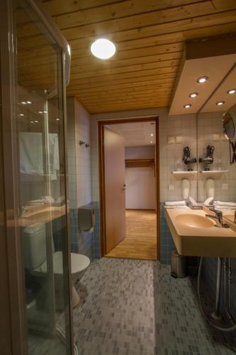 a bathroom with a sink and a toilet at Economy Hotel Savonia in Kuopio
