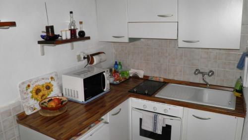 a kitchen with a sink and a microwave on a counter at Barcola Holidays Casa Vacanze in Trieste
