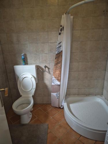 a bathroom with a toilet and a shower and a tub at Bajta 163 in Topusko