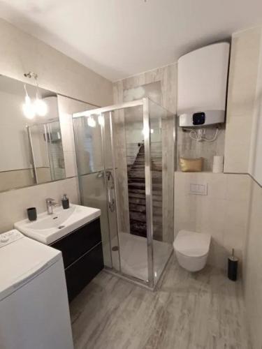 a bathroom with a shower and a toilet and a sink at Apartament łeba in Żarnowska