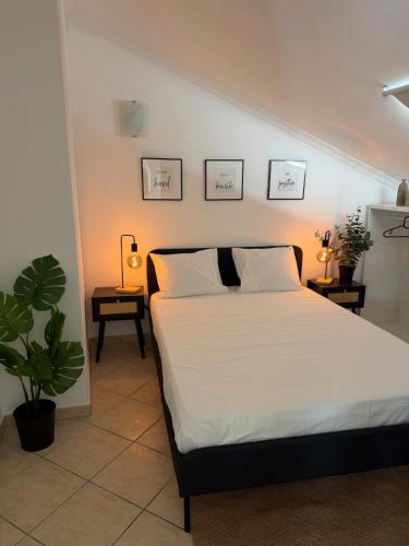 Faro Central Home 5
