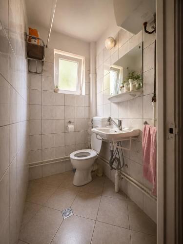 a bathroom with a toilet and a sink at Casa cu şemineu in Păuşa