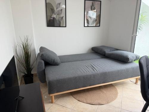 Faro Central Home 4