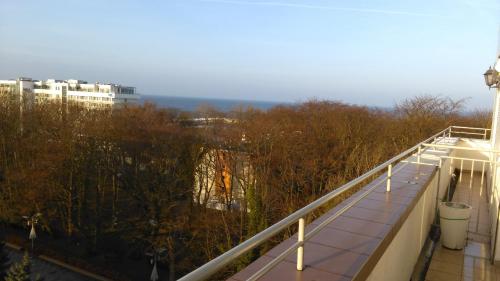 Elle comprend un balcon offrant une vue sur un bâtiment et les arbres. dans l'établissement ApartamentyPrzyMorzu Reymonta, à Kołobrzeg