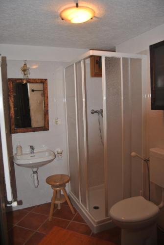 a bathroom with a shower and a sink and a toilet at B&B Il Torchio in Saint Vincent