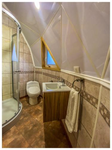 a bathroom with a toilet and a sink and a shower at Domos Frutillar in Frutillar